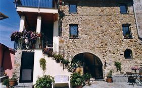 B&B Il Tulipano